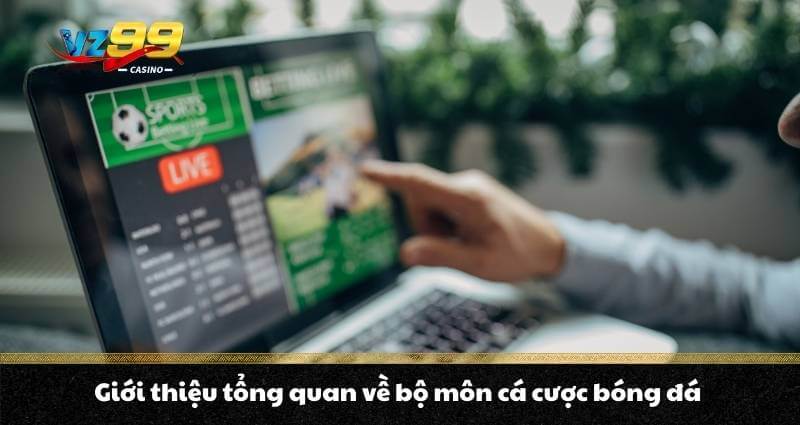 Cá cược bóng đá là gì? Top kèo cược ưu chuộng nhất năm 2026 2 Giới thiệu tổng quan về bộ môn cá cược bóng đá