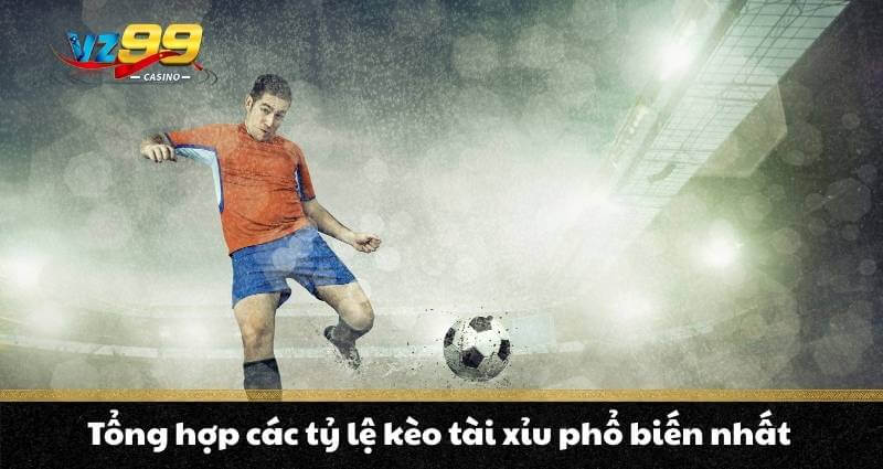 Kèo Tài Xỉu - Hướng dẫn săn 3 kèo “cơ bản” siêu hiệu quả 6 Tổng hợp các tỷ lệ kèo tài xỉu phổ biến nhất