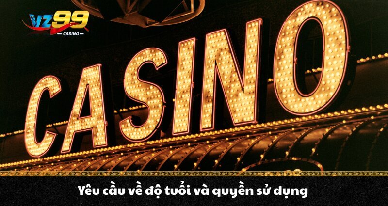 ĐIỂU KHOẢN VÀ ĐIỀU KIỆN VZ99 2 Yêu cầu về độ tuổi và quyền sử dụng